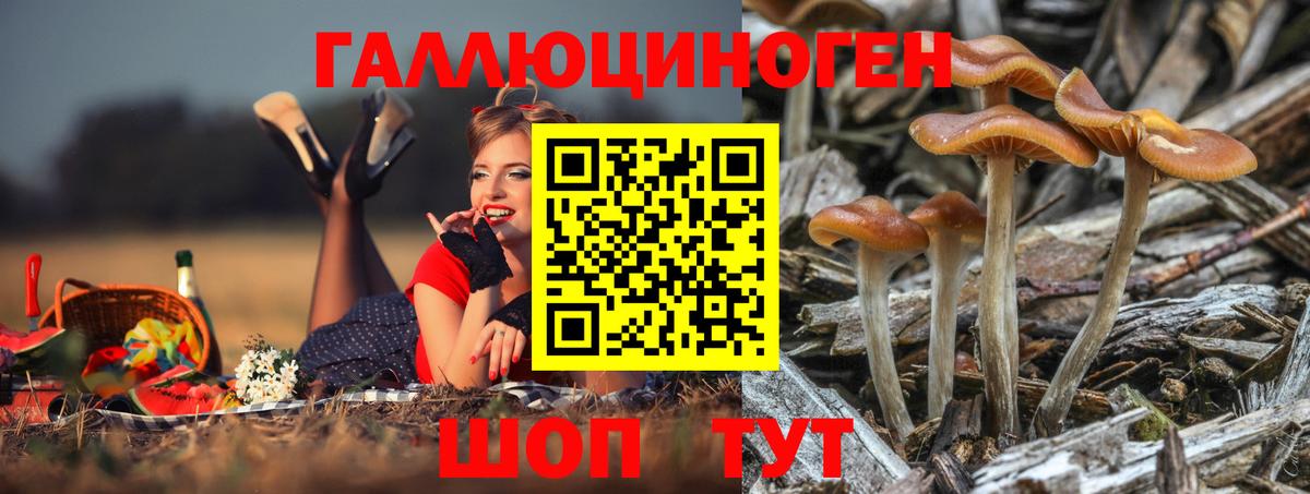 Псилоцибиновые грибы мицелий Коряжма